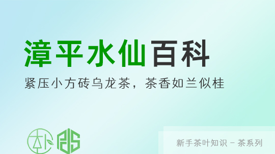 烏龍茶中被遺忘的(de)貴族：漳平水仙茶